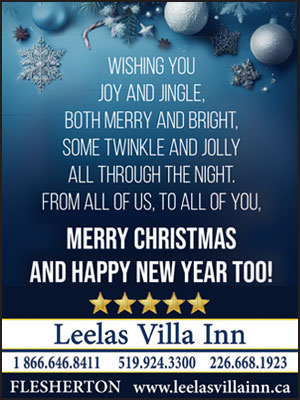 Leelas Villa Inn Merry Christmas