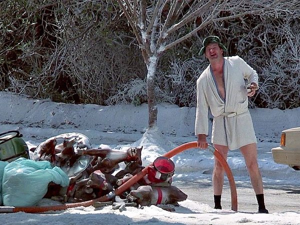 Cousin Eddie in Christmas Vacation.