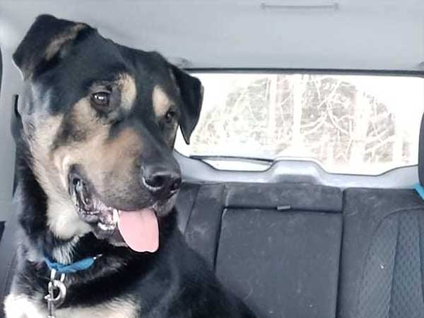 Adoption of the week: meet Atlas