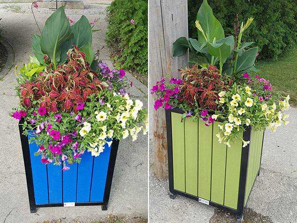 colourful flower planters made by MSD in Williamsford