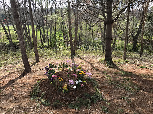 natural burial site in Carolina woods