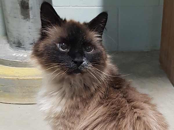 Adoption of the week: meet Zuka