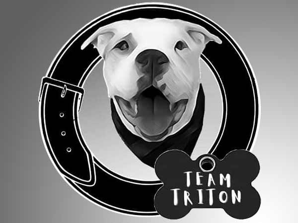 Team Triton Rescue logo