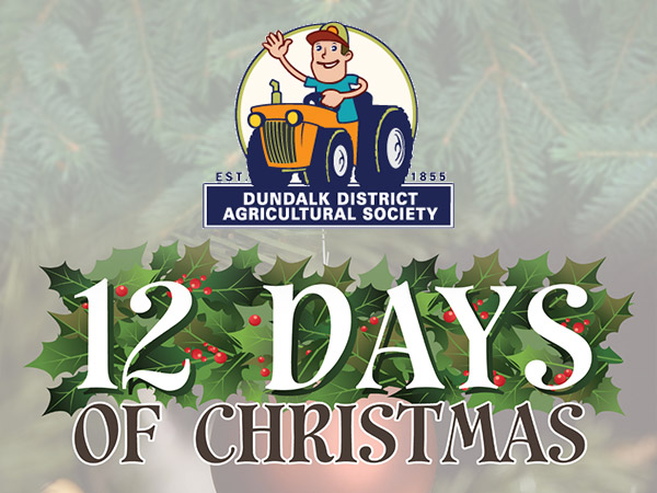 12 Days of Christmas - December 1 -12
