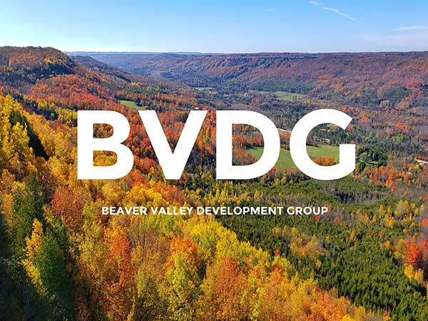BVDG logo