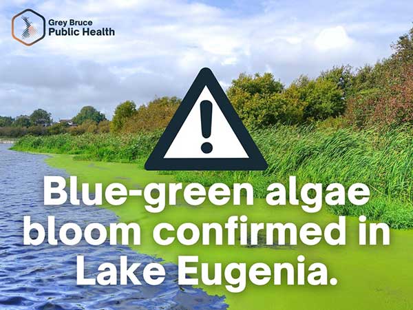 Blue-green algae bloom confirmed in Lake Eugenia