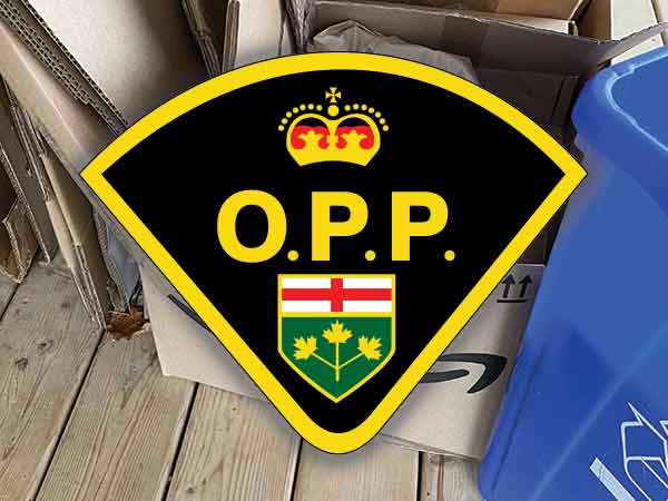 OPP logo and recycled cardboard christmas gifts