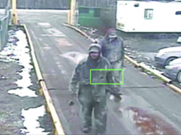 Two suspects wanted for vehicle theft.