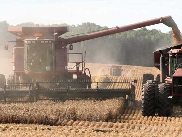 grain harvester