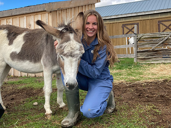 new vet and donkey