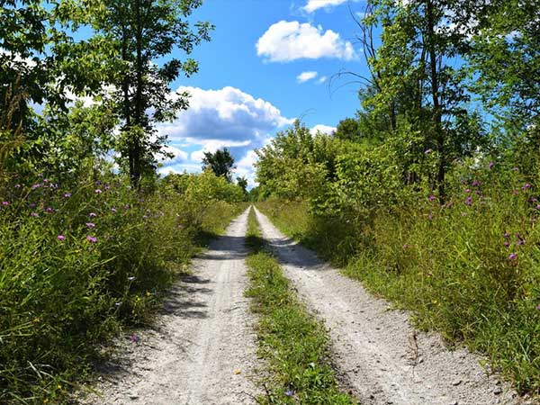 Grey County Rail Trail