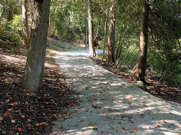 Path through woods