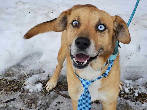 Team Triton to the rescue: meet Kyde