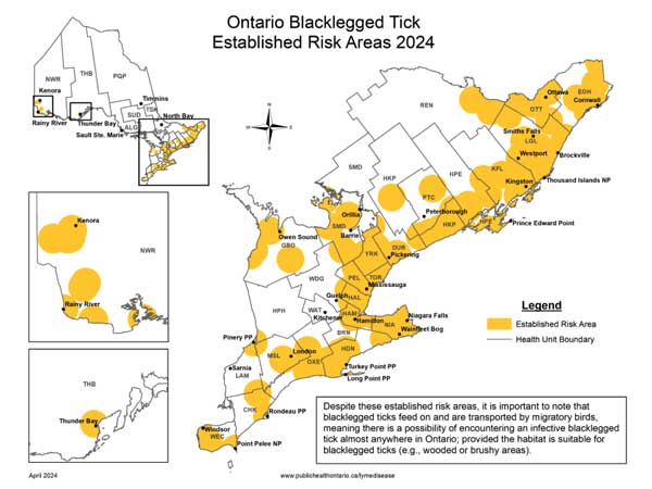 Map of established risk areas for the blacklegged tick in Ontario in 2024, established by Public Health Ontario