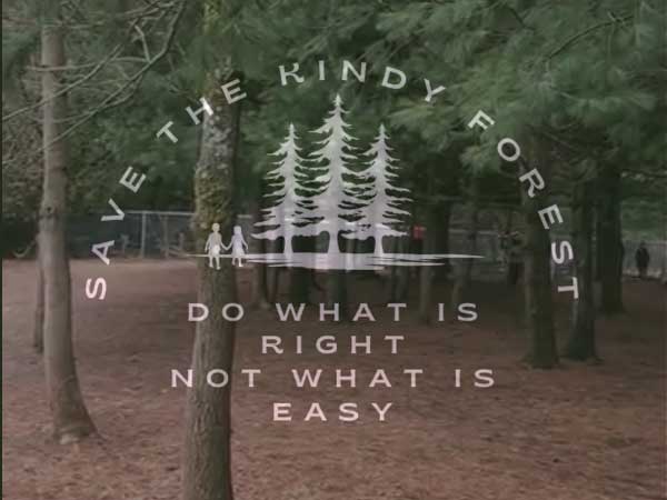 Save the Kindy Forest - do what is right, not what is easy