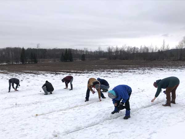 Volunteers planting native seeds in winter