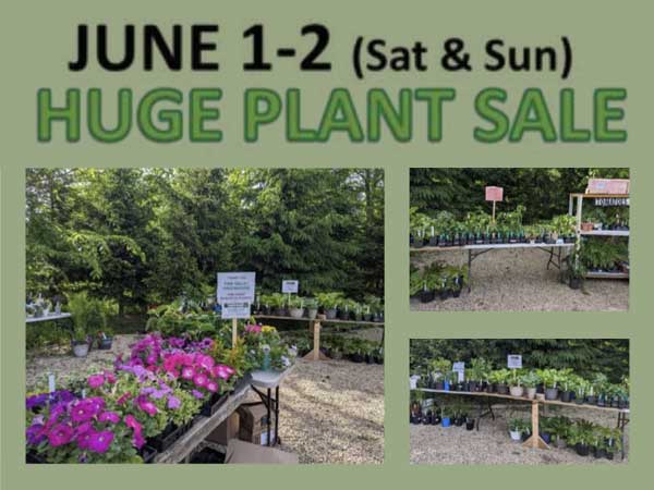 Huge Plant Sale June 10-2 (Sat & Sun) graphic.