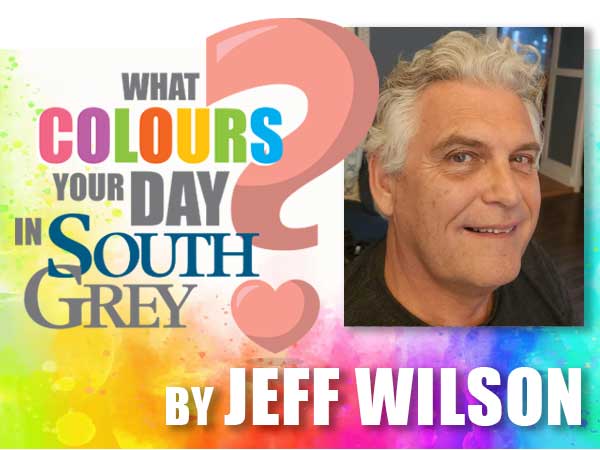 What colours your day in South Grey? by Jeff Wilson