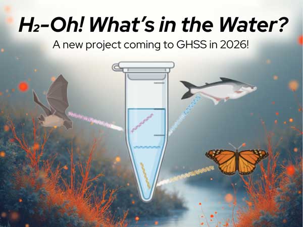H2-Oh! What's in the Water?