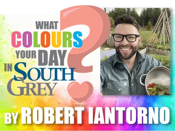 What colours your day: Robert Iantorno