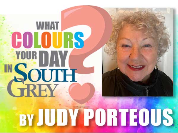 What colours your day in South Grey: Judy Porteous