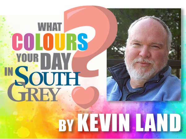 What colours your day? by Kevin Land