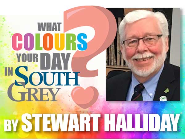 What colours your day in South Grey: Stewart Halliday