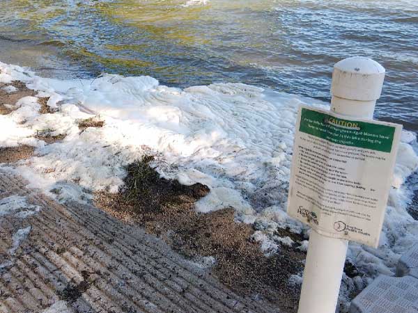 Foam washing ashore on Eugenia Lake