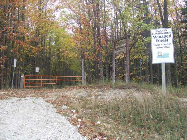 Saugeen Conservation Managed Forest entrance