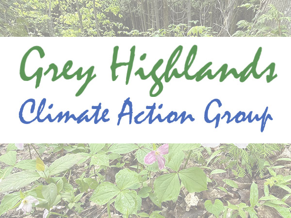 Grey Highlands Climate Action Group text over trilliums and forest plants.