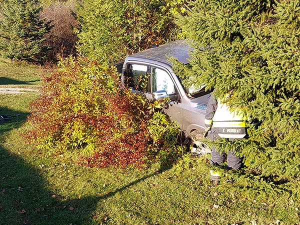 Truck crashed into trees.