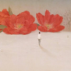 Jilong Du