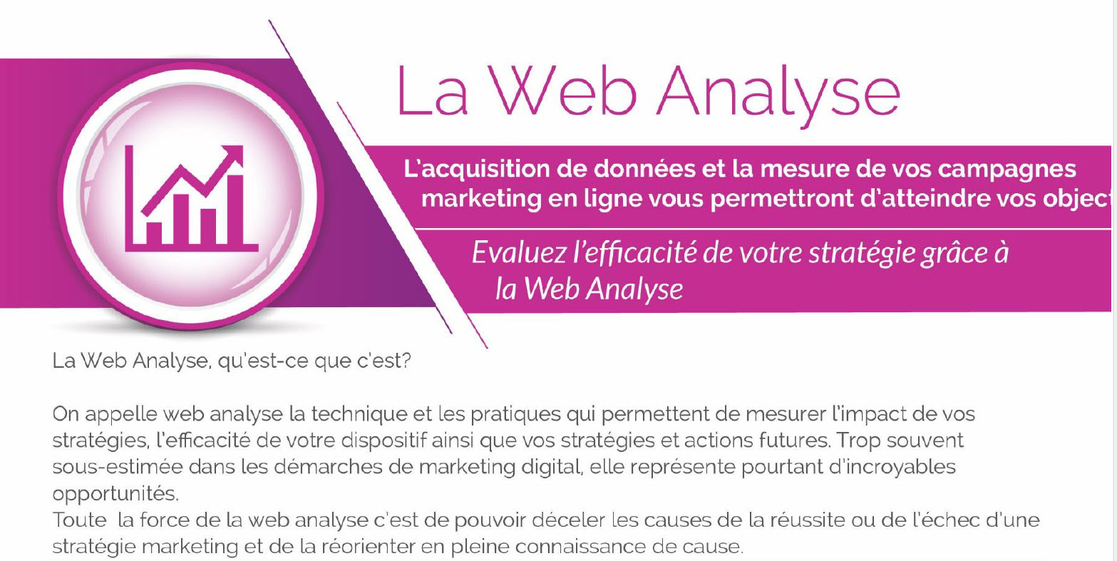 La Web Analyse chez WSI DOM | Martinique