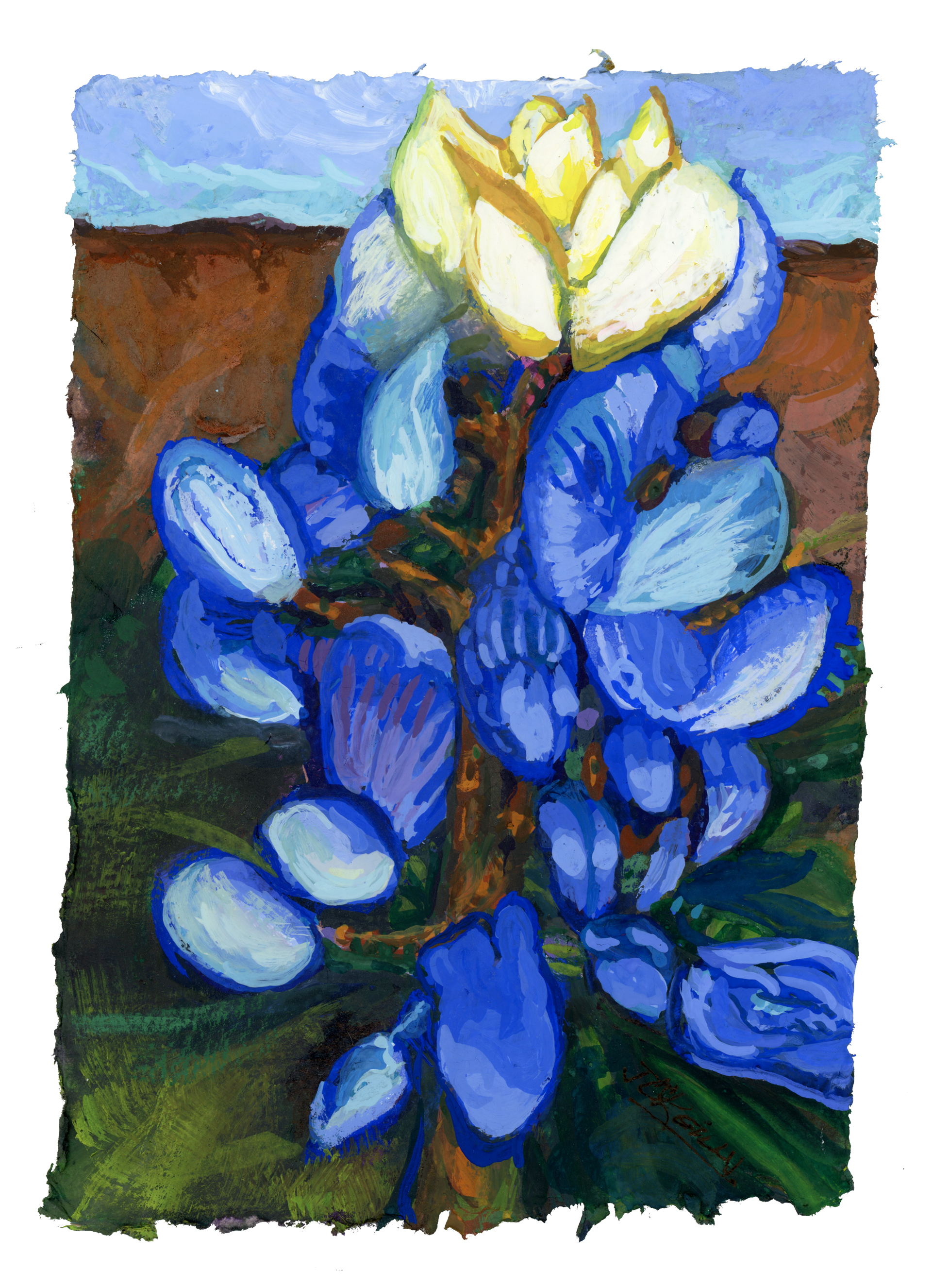 Ode to a Texas Bluebonnet, gouache painting on handmade paper, by Julia O'Reilly