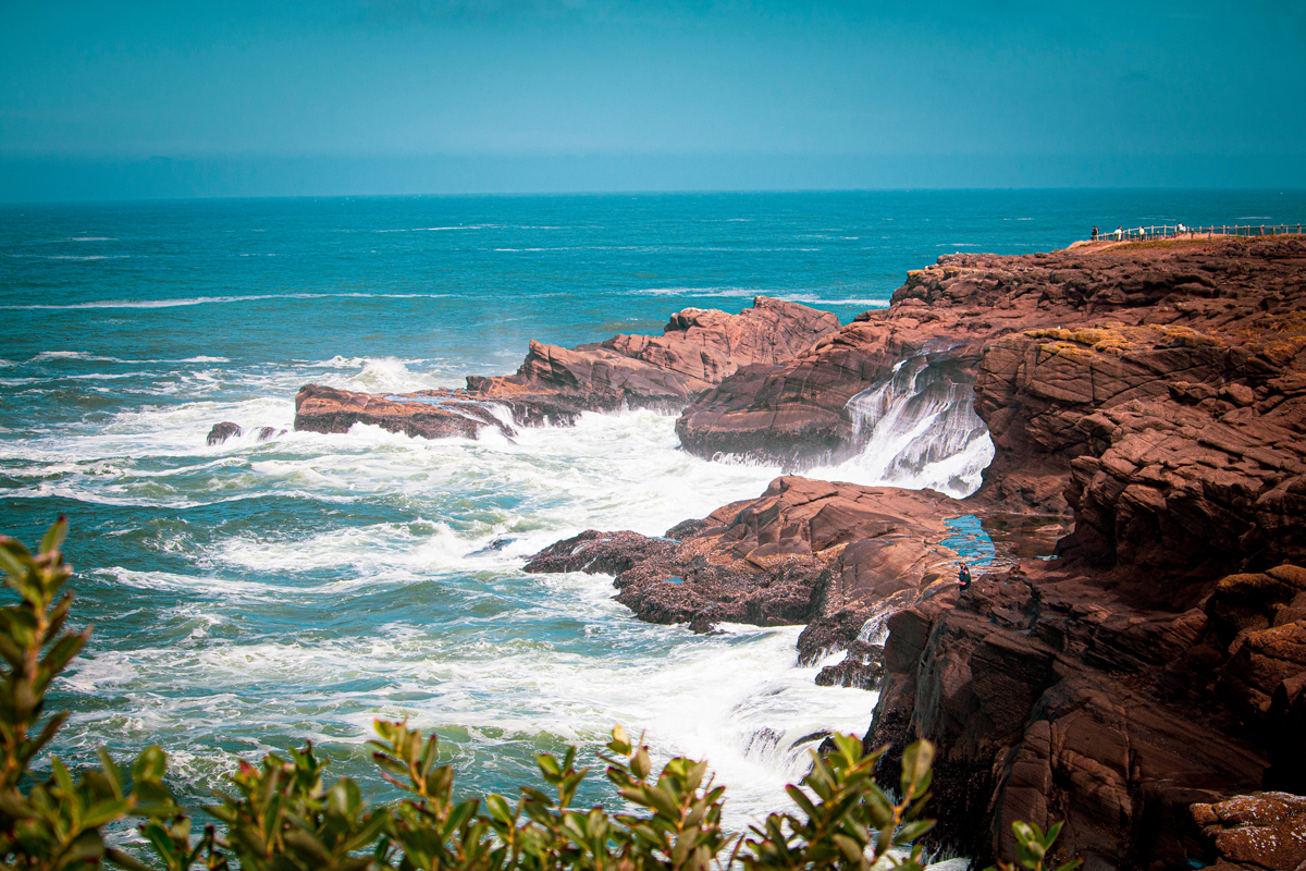 The Oregon Coast:  painting workshop, May 11-14, 2023