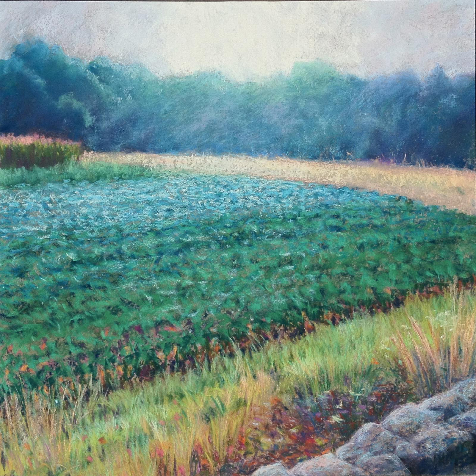 Plein Air Painting with Pastels