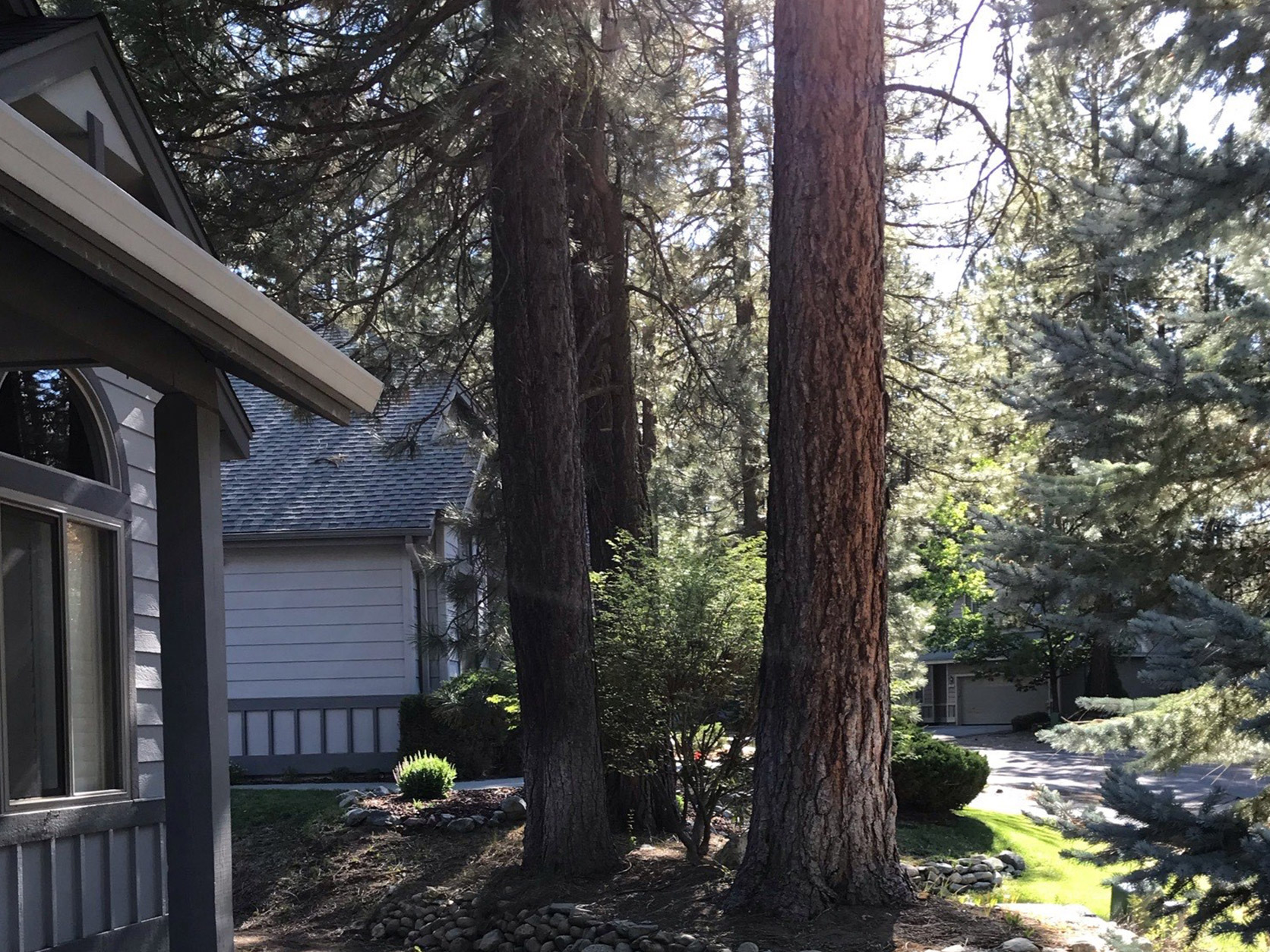 Graeagle Vacation Rentals Plumas Pines Vacation Rentals