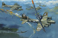 Air Combat World War II