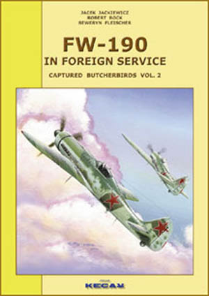 FW-190 IN FOREIGN SERVICE CAPTURED BUTCHERBIRDS PT 2