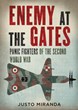 ENEMY AT THE GATES: PANIC FIGHTERS OF THE SECOND WORLD WAR