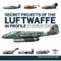 SECRET PROJECTS OF THE LUFTWAFFE IN DETAIL