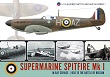 SUPERMARINE SPITFIRE MK I IN RAF SERVICE - 1936 TO THE BATTLE OF BRITAIN