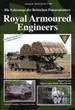 Tankograd 9002 Royal Armoured Engineers