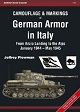 CAMOUFLAGE & MARKINGS OF GERMAN ARMOUR IN ITALY FROM ANZIO LANDING TO THE ALPS JANUARY 1944 - MAY 1945
