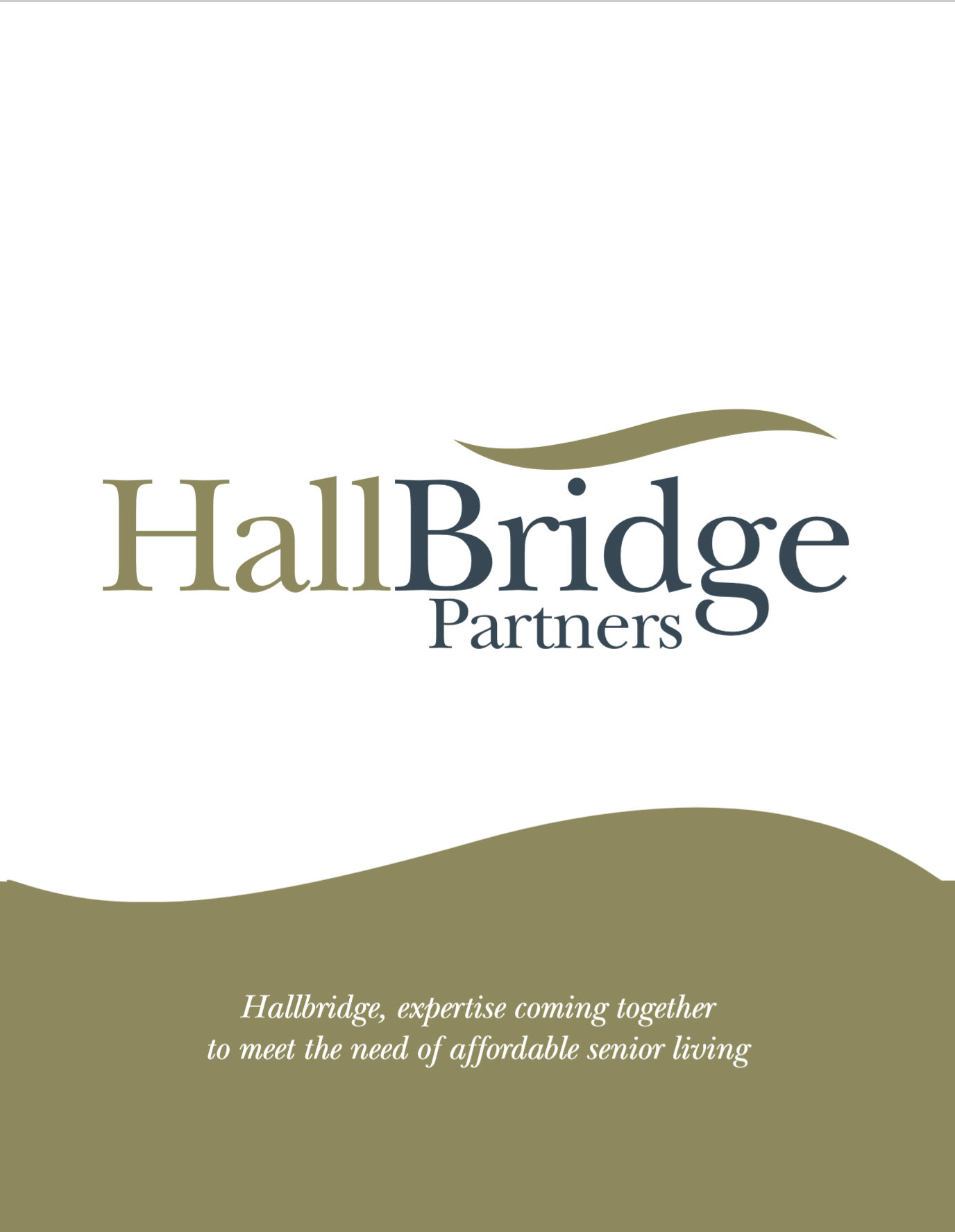 HallBridge Partners Overview
