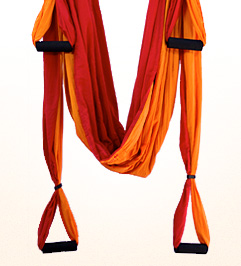 The Complete OmGym Suspension System