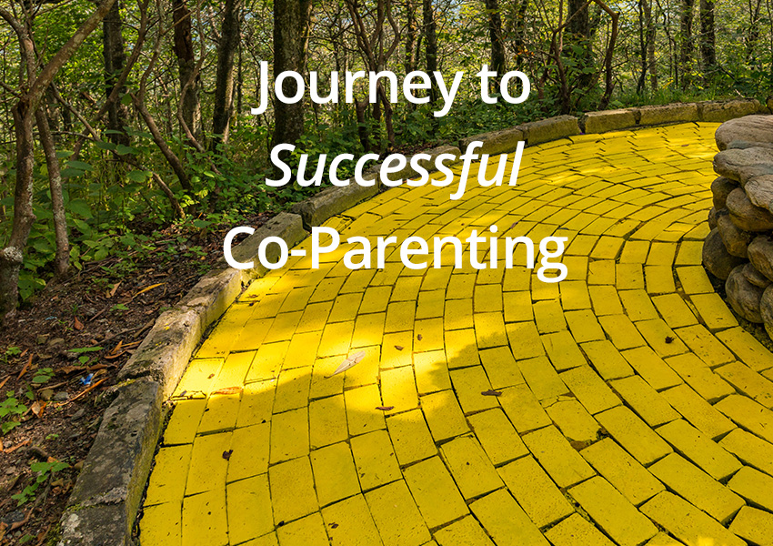 Journey to Successful Co-Parentling
