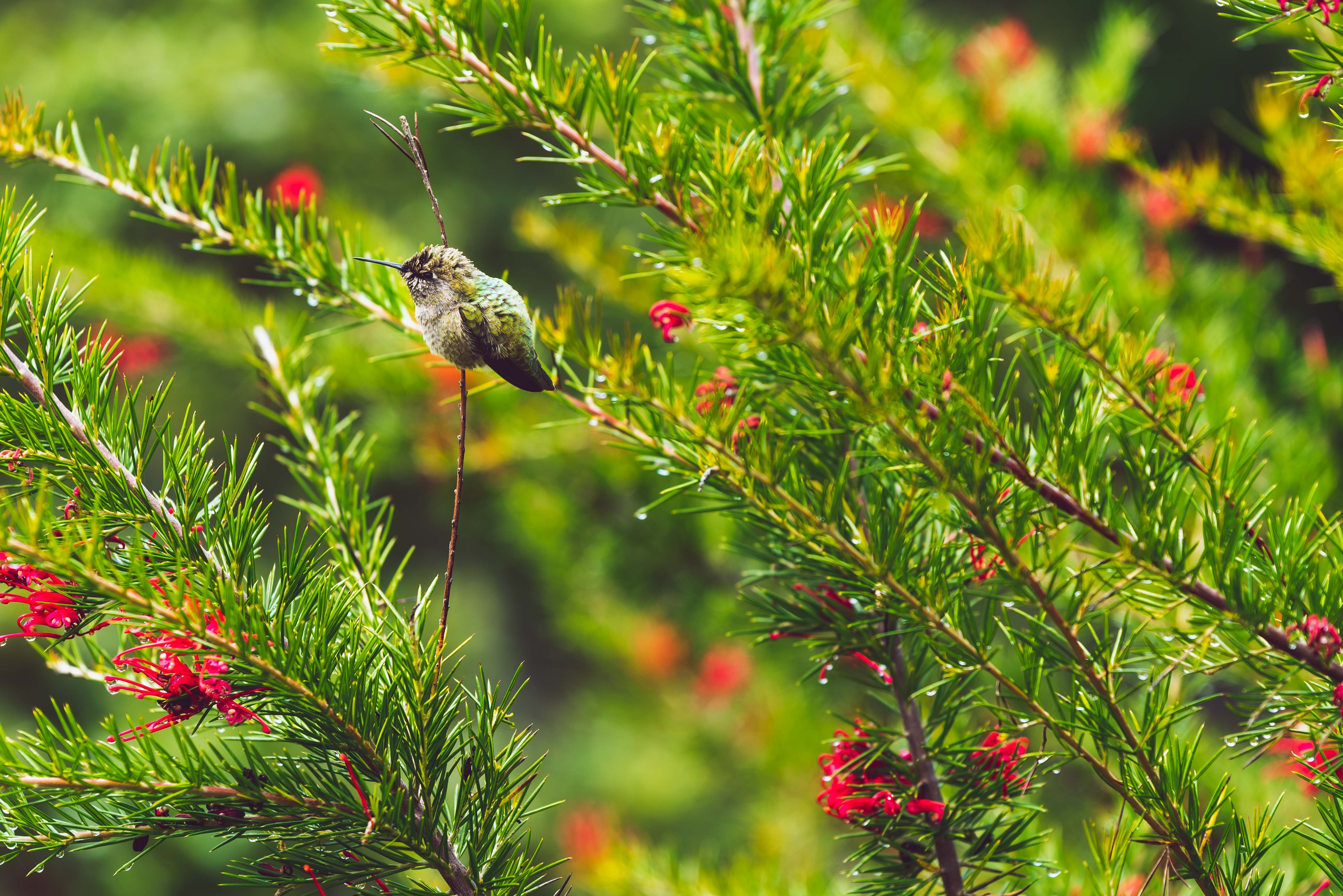 photo courtesy of Vladis Vasnetsov, pexels.com