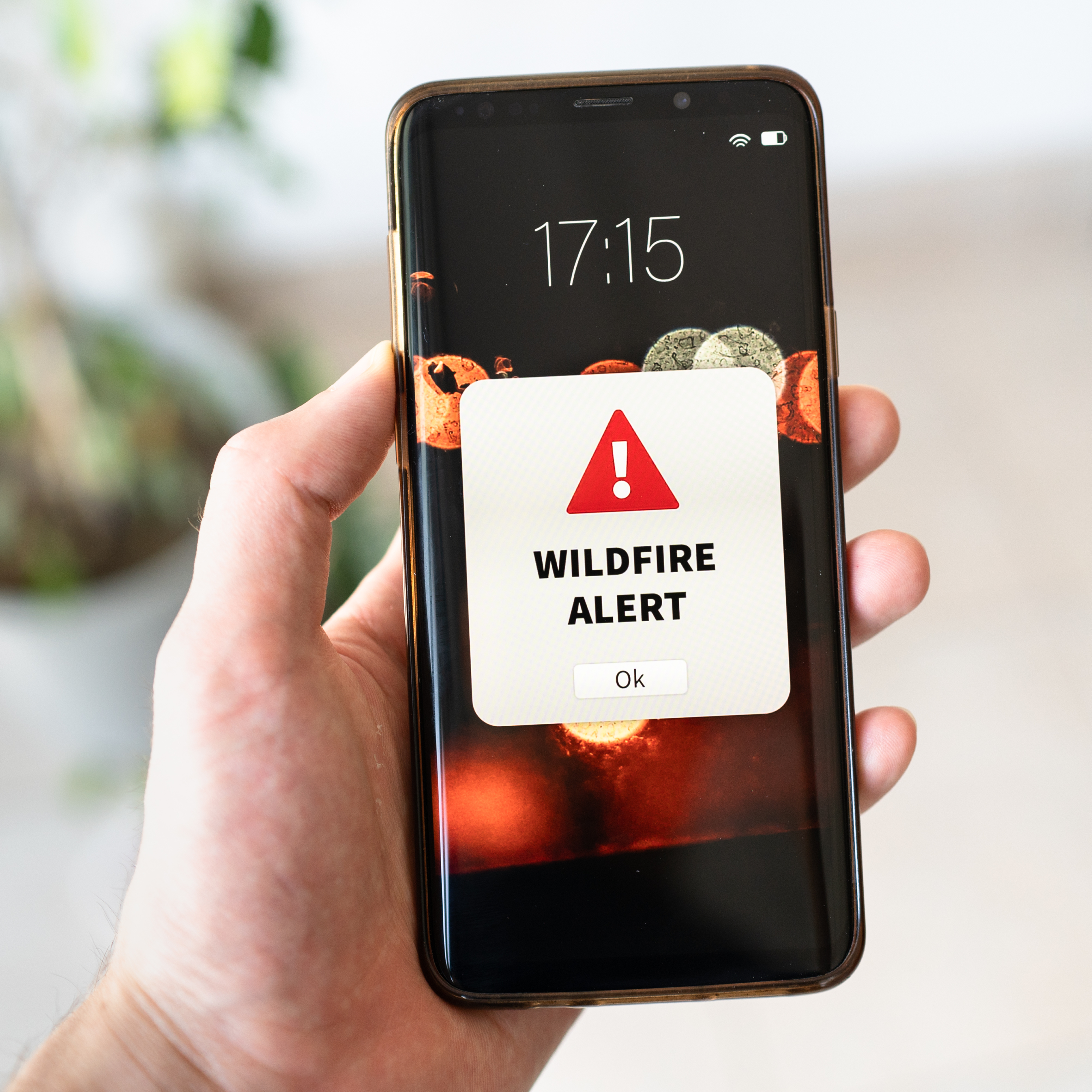 Wildfire Alert