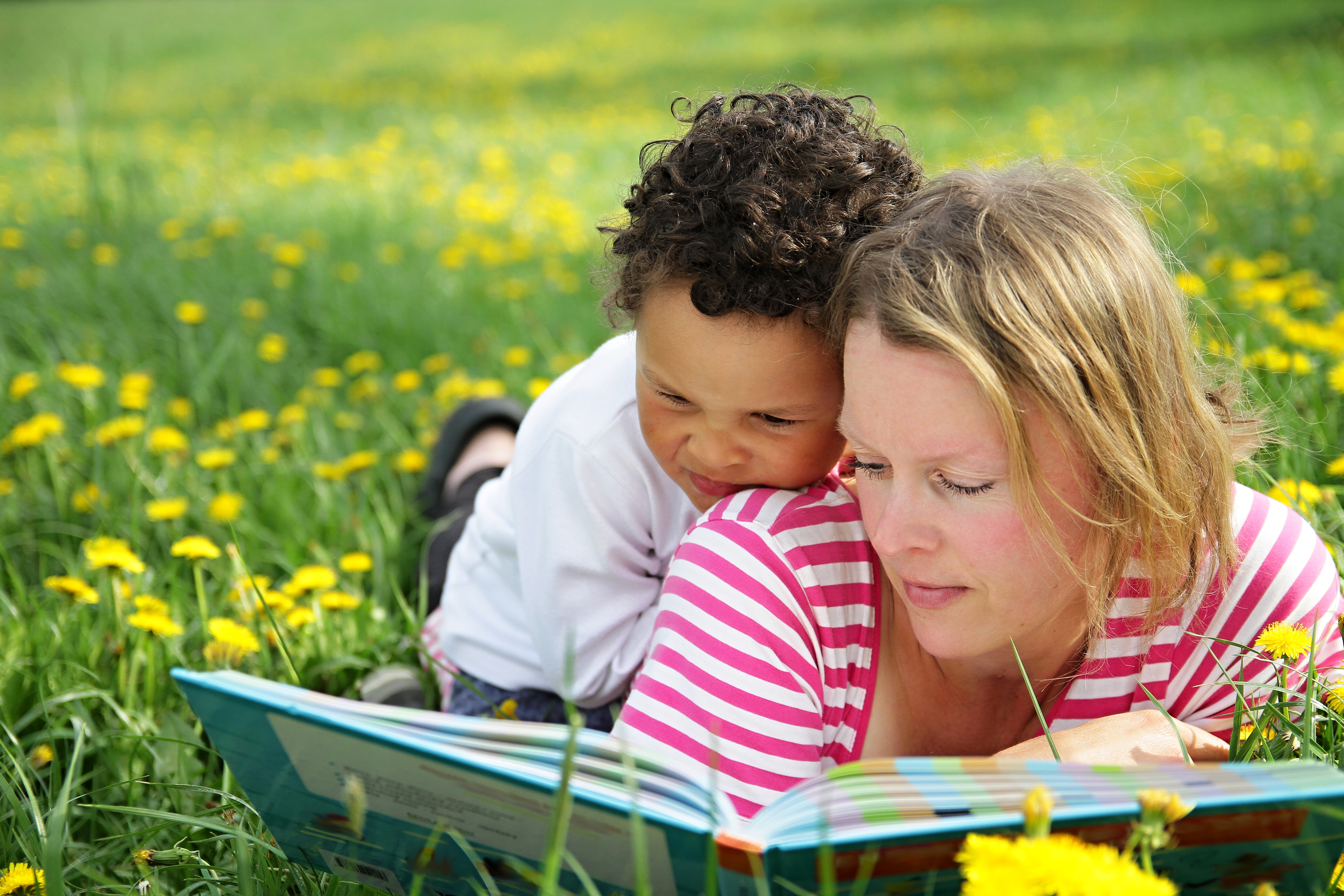 Books to Help You Explain Death To Children